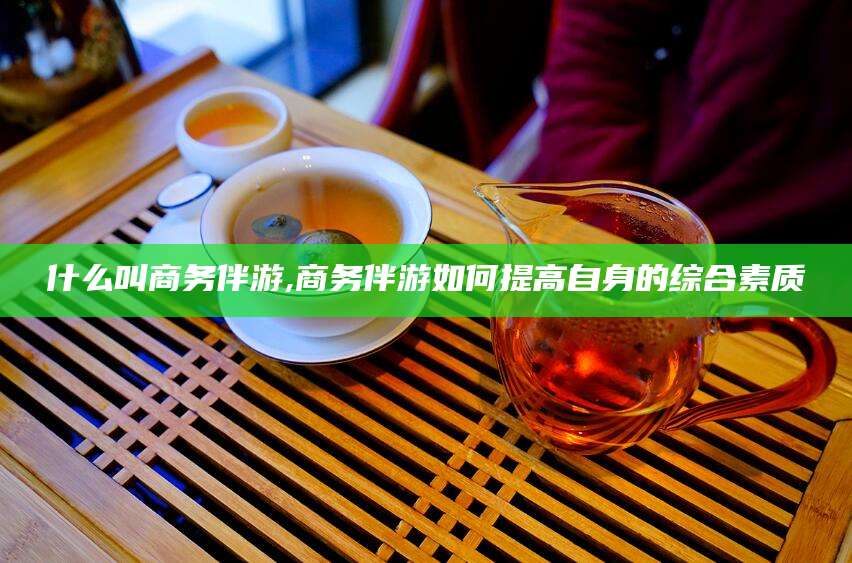 儋州什么叫商务伴游,商务伴游如何提高自身的综合素质